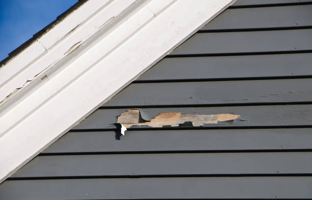 Historical Building Siding Restoration in Parkwood, WA